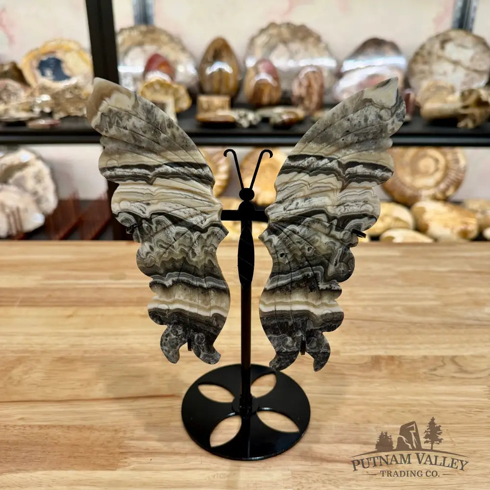 Zebra Calcite Butterfly - 7.25’’ Wingspan Sculpture