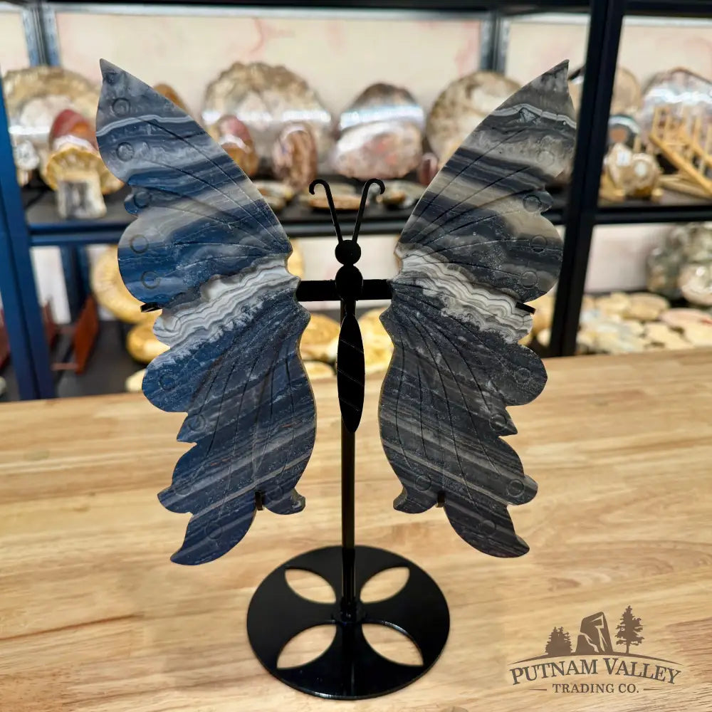 Zebra Calcite Butterfly - 8.25’’ Sculpture