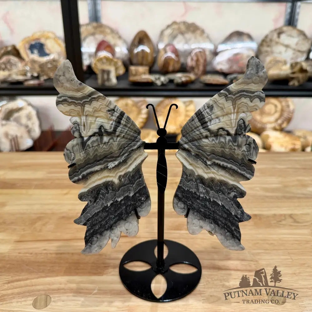 Zebra Calcite Butterfly - 8’’ Wingspan Sculpture