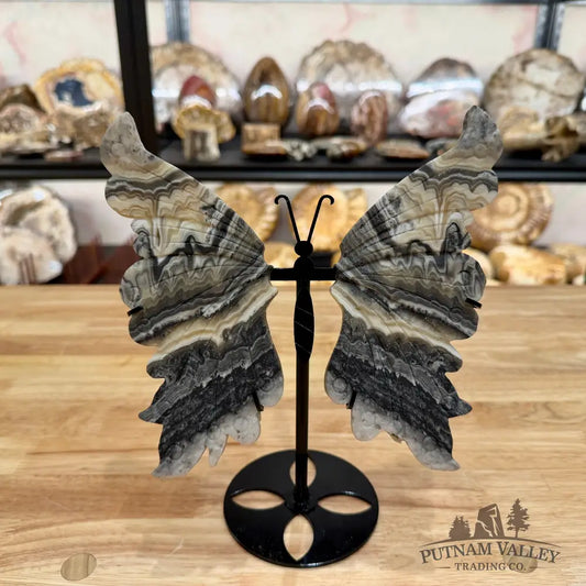 Zebra Calcite Butterfly - 8’’ Wingspan Sculpture